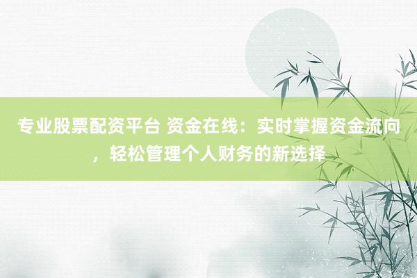 专业股票配资平台 资金在线：实时掌握资金流向，轻松管理个人财务的新选择