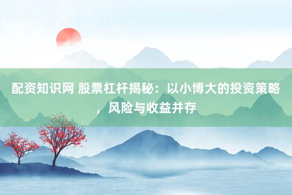 配资知识网 股票杠杆揭秘：以小博大的投资策略，风险与收益并存