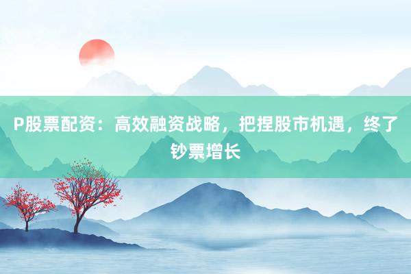 P股票配资:高效融资战略,把捏股市机遇,终了钞票增长
