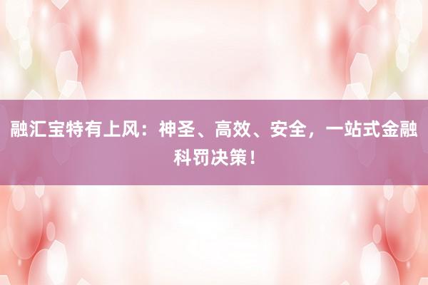 融汇宝特有上风:神圣、高效、安全,一站式金融科罚决策!