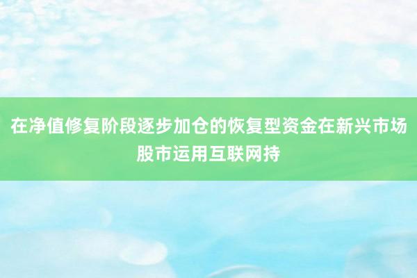 在净值修复阶段逐步加仓的恢复型资金在新兴市场股市运用互联网持