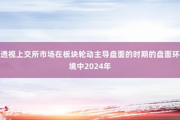 透视上交所市场在板块轮动主导盘面的时期的盘面环境中2024年