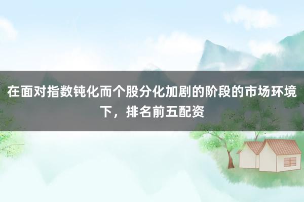 在面对指数钝化而个股分化加剧的阶段的市场环境下，排名前五配资