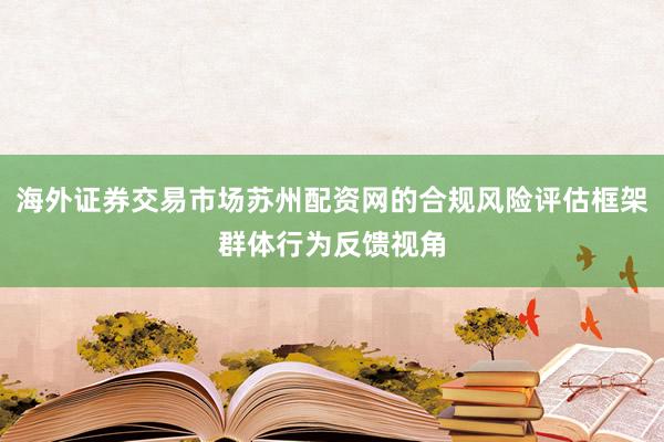 海外证券交易市场苏州配资网的合规风险评估框架群体行为反馈视角