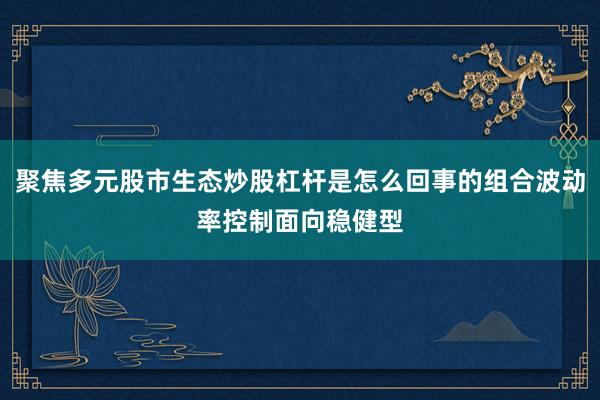 聚焦多元股市生态炒股杠杆是怎么回事的组合波动率控制面向稳健型